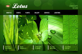 運用色輪原理優化北京網站建設中的網頁設計